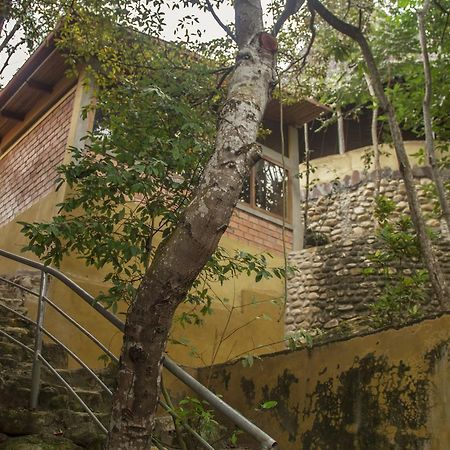 タラポト Yacumaman Sanctuaryヴィラ エクステリア 写真